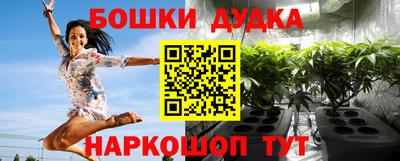 spice Нарткала