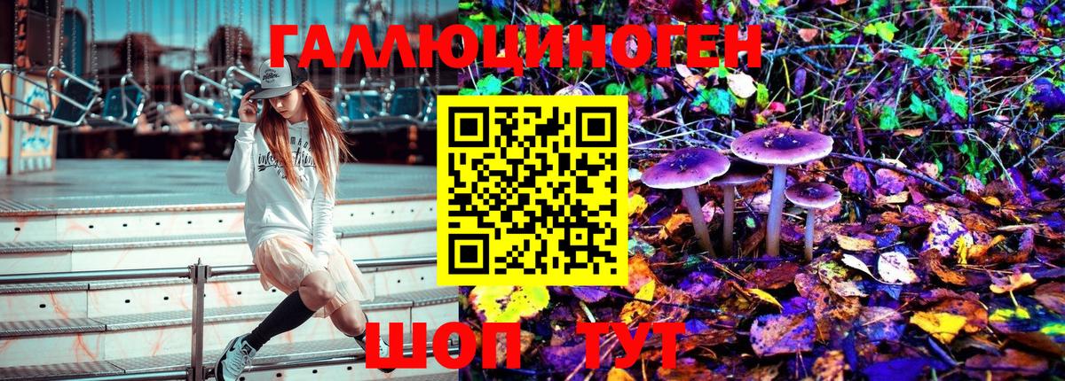 Галлюциногенные грибы MAGIC MUSHROOMS  Псилоцибиновые грибы ЛСД  Вход с VPN  Чистополь 